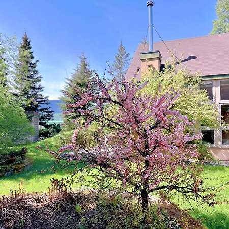 Anchorage Downtown Studio:Near Attractions, Ideal For Solo/Couples-2